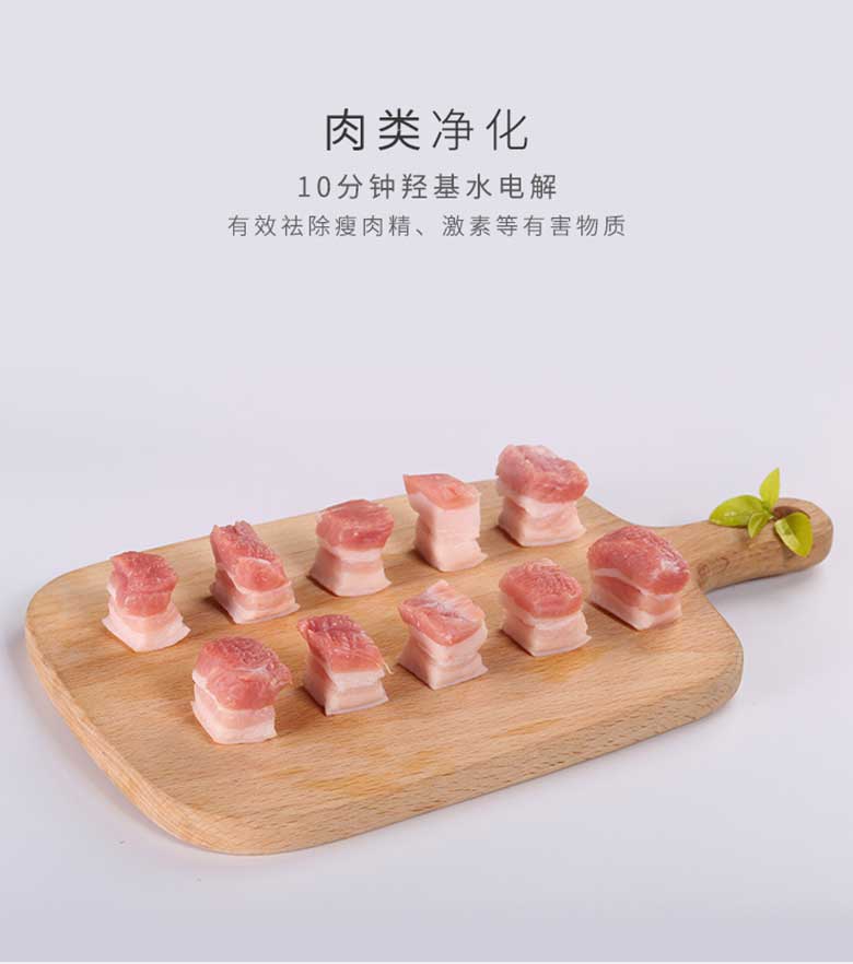 肉類凈化